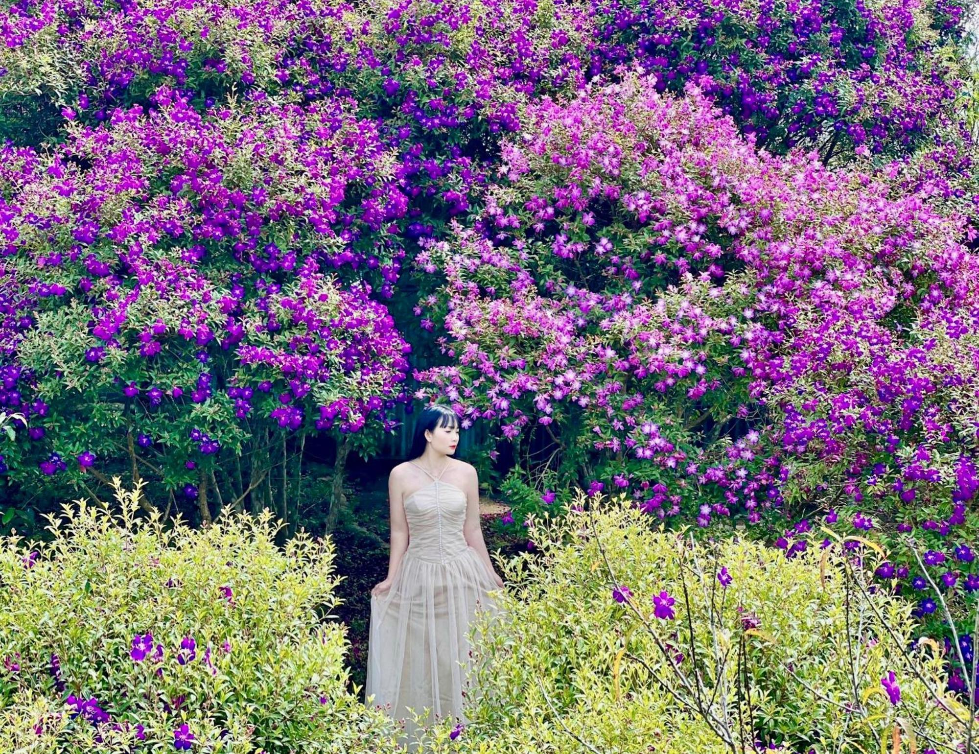 Khong Gian Van Hoa Tra Suoi Giang Nghia Lo ภายนอก รูปภาพ